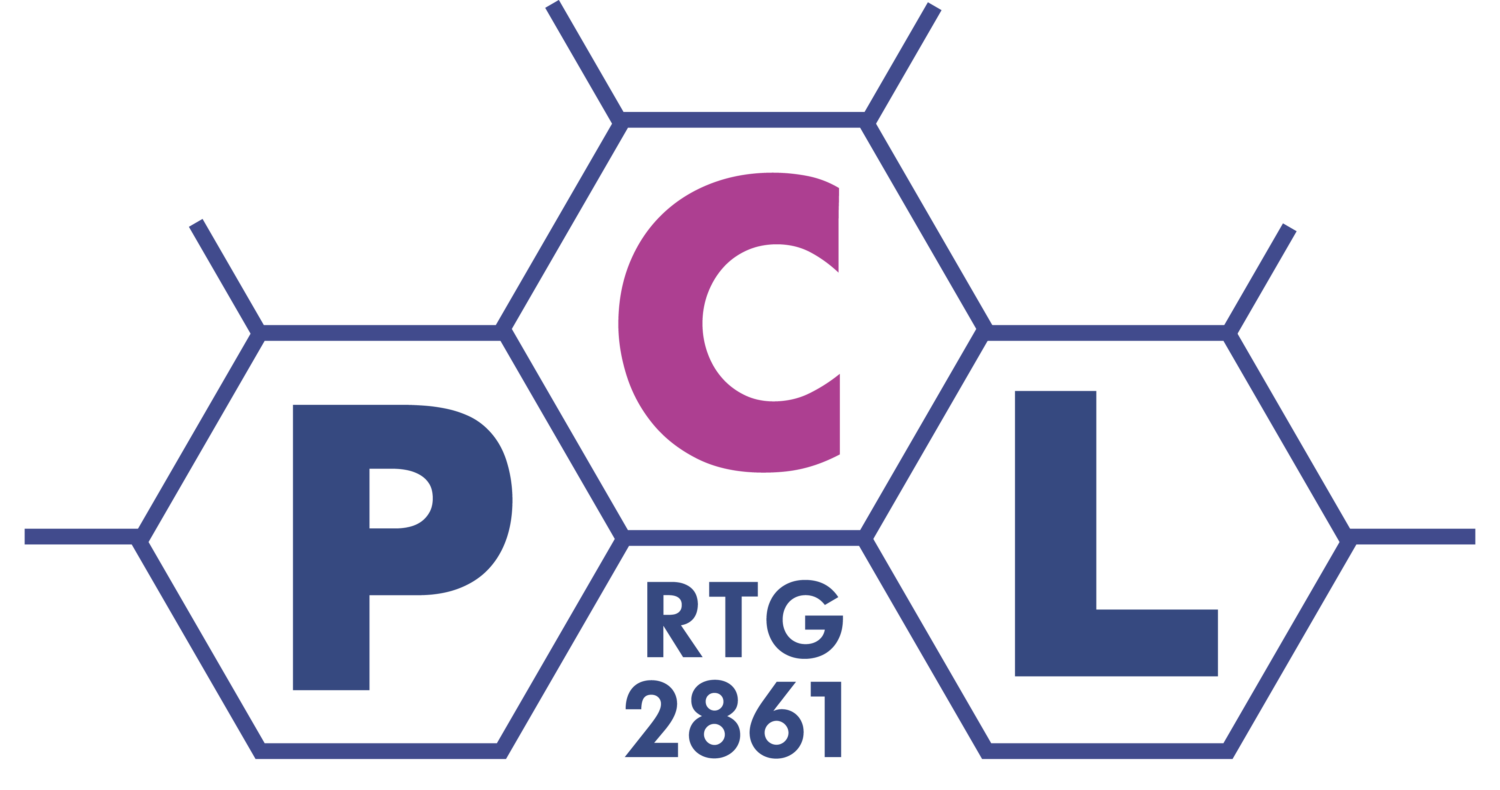 RTG 2861 „Planar Carbon Lattices“
